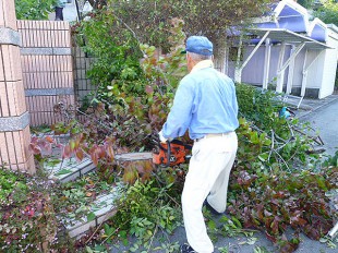 久留米市野中町　T様邸　枝おろし剪定